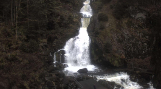 Schwarzwald Triberg Wasserfall Januar 2022 Webcam